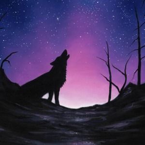 Meet your Posher, Peyton